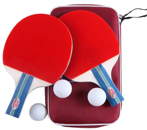 Double Fish 236A 2* Bordtennisset